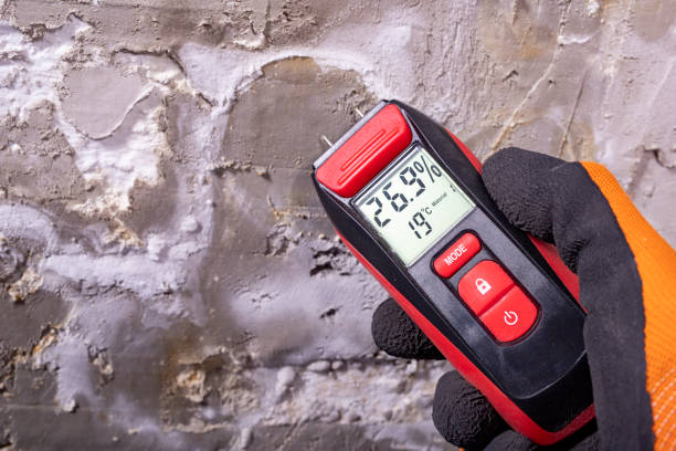 Best Mold Removal and Inspection  in Springville, UT