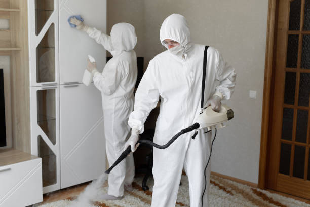 Best Mold Remediation  in Springville, UT