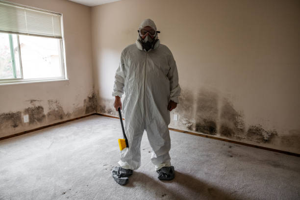 Best Mold Testing  in Springville, UT